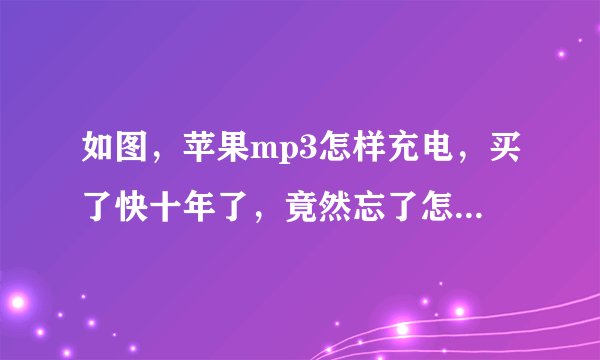 如图，苹果mp3怎样充电，买了快十年了，竟然忘了怎样充电，还没怎么用过呢？