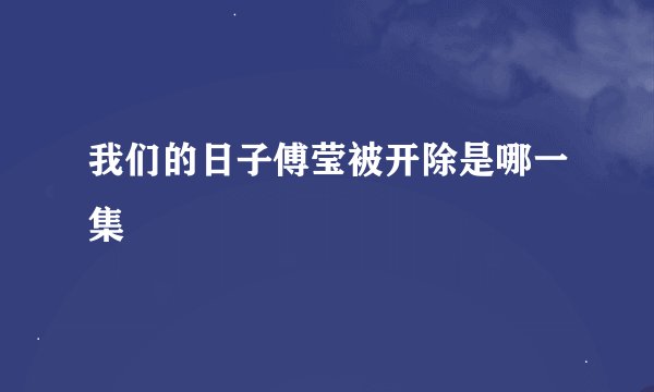 我们的日子傅莹被开除是哪一集