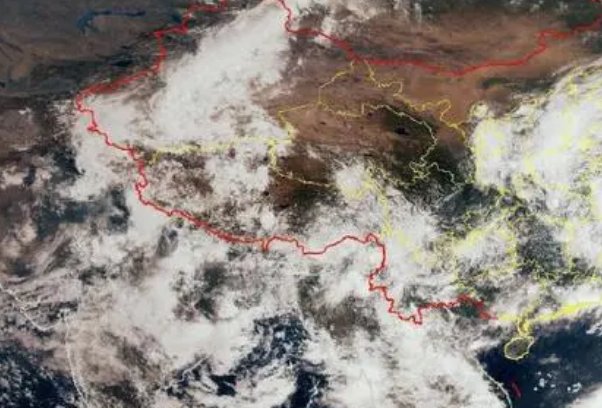 杜苏芮的意思和含义是什么