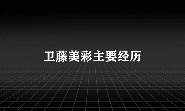 卫藤美彩主要经历