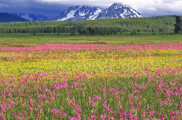 春天像什么仿写句子