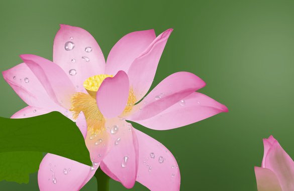花中仙子是指什么花