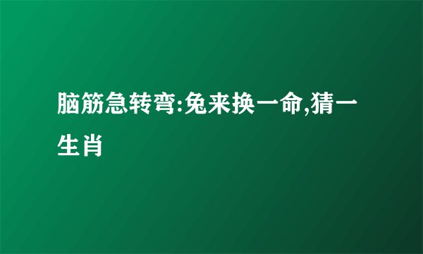 脑筋急转弯:兔来换一命,猜一生肖
