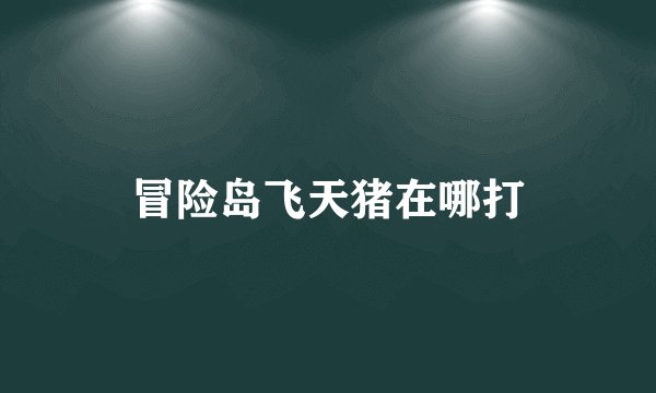 冒险岛飞天猪在哪打
