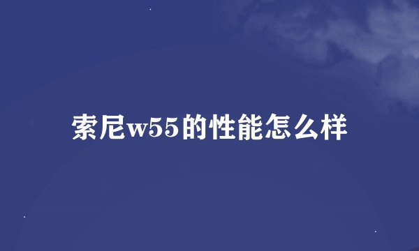 索尼w55的性能怎么样
