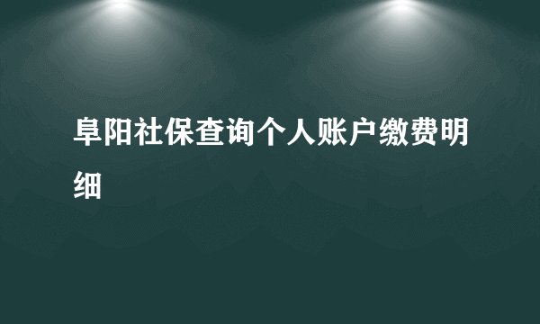 阜阳社保查询个人账户缴费明细