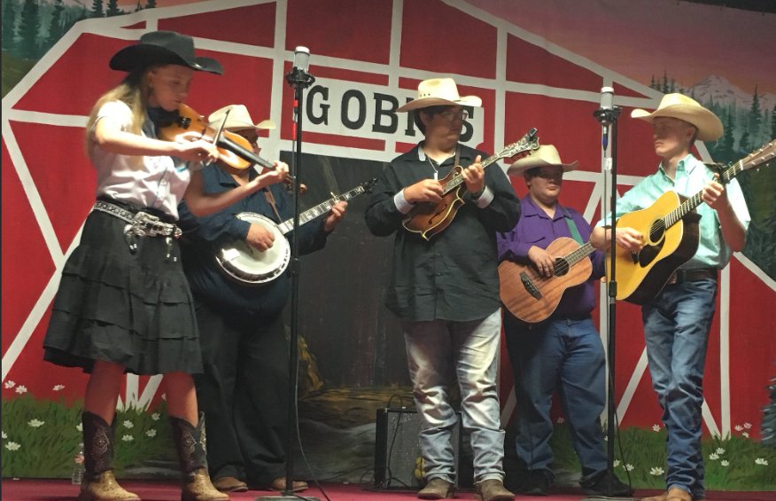 bluegrass是什么意思