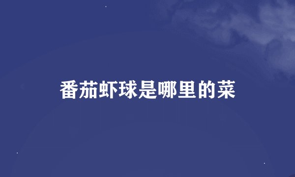 番茄虾球是哪里的菜