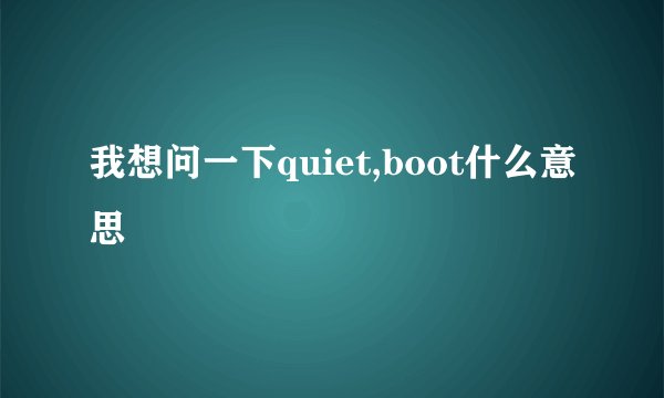 我想问一下quiet,boot什么意思