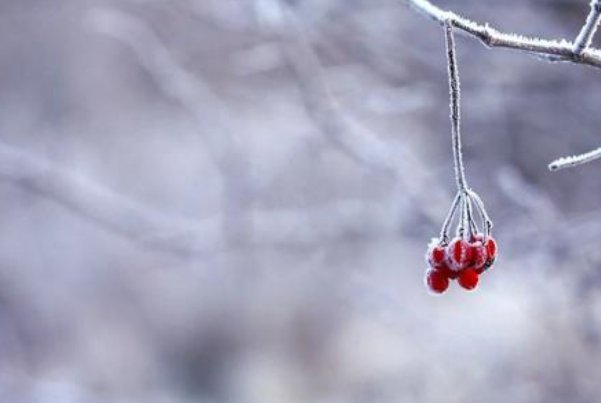 细毛织寒衣寻七什么意思