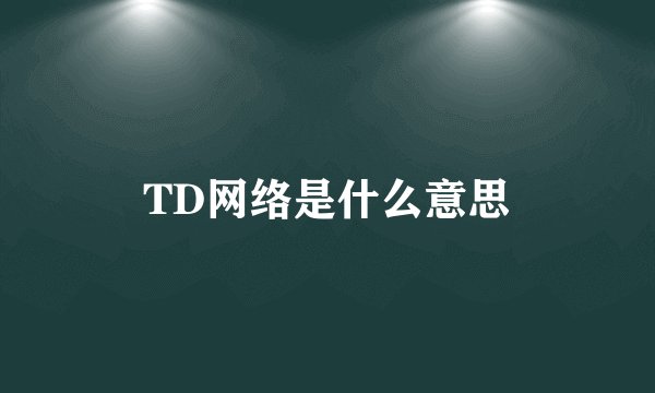 TD网络是什么意思