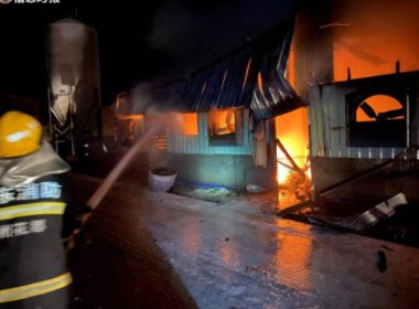 张家界一养猪场起火，150头猪被烤焦，导致起火的原因是什么？