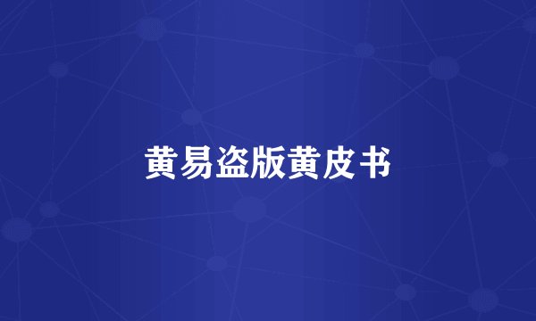 黄易盗版黄皮书