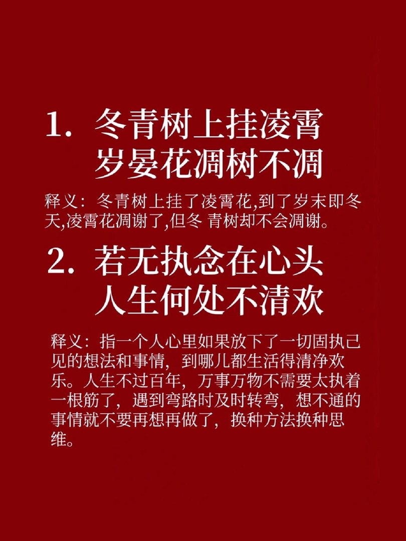 冬青树上挂凌霄