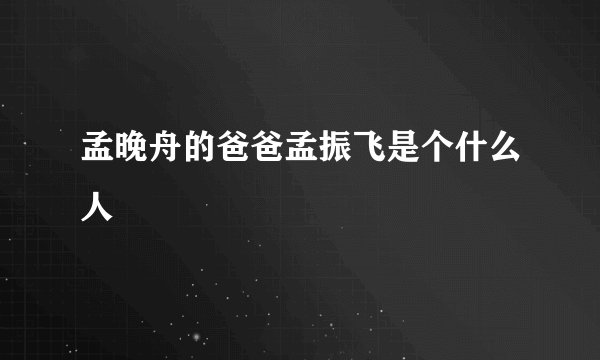 孟晚舟的爸爸孟振飞是个什么人
