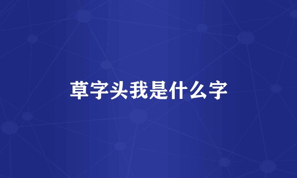 草字头我是什么字