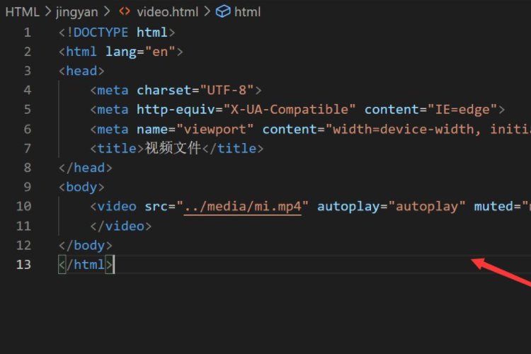html插入视频的代码是什么