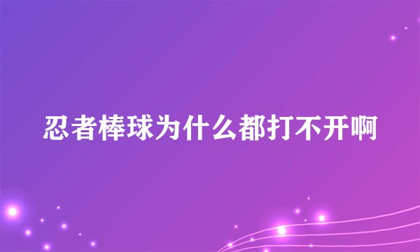 忍者棒球为什么都打不开啊