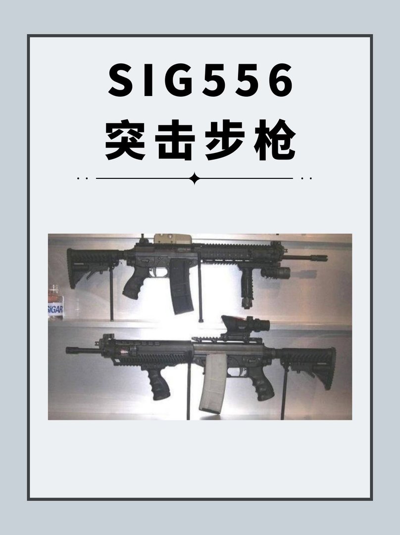 SIG 556突击步枪