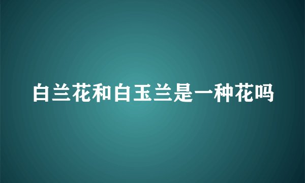 白兰花和白玉兰是一种花吗