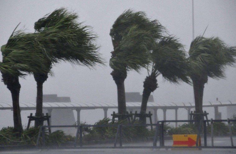 我国的风力等级是怎样划分的？