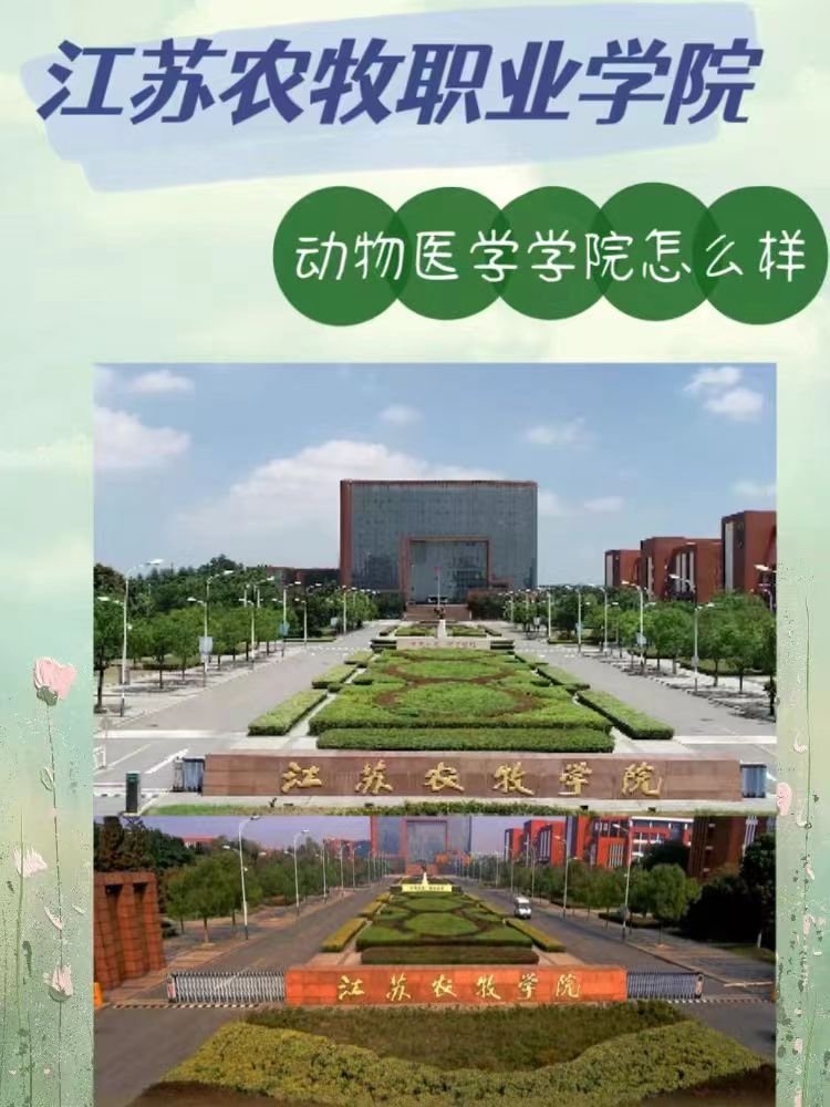 江苏农牧科技职业学院动物医学院怎么样