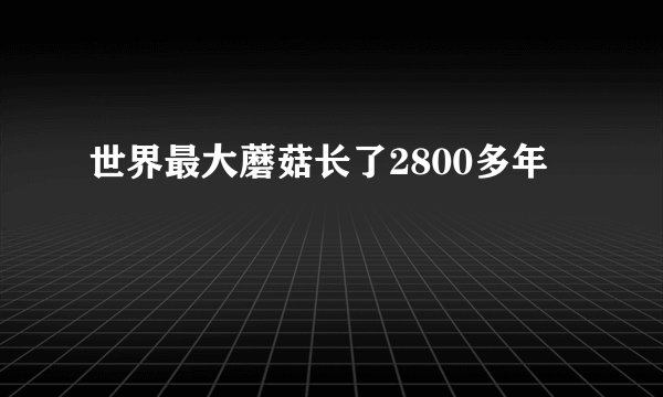 世界最大蘑菇长了2800多年