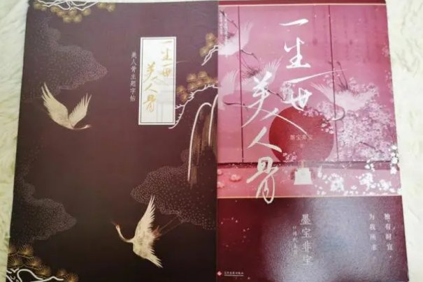 周生如故小说叫什么名字