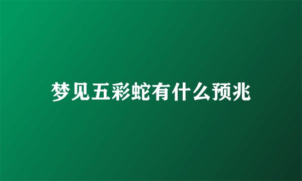 梦见五彩蛇有什么预兆