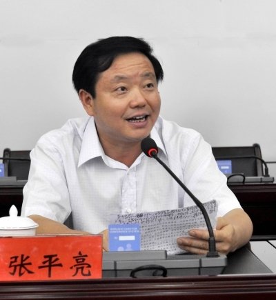 张平亮的人物履历