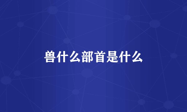兽什么部首是什么