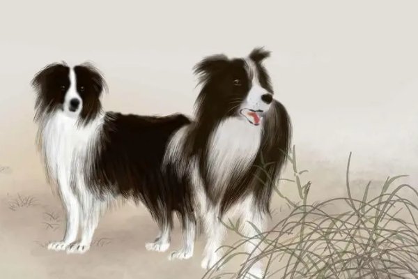 净几朋窗打一生肖