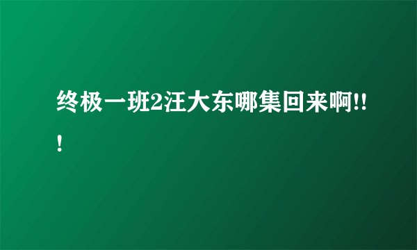 终极一班2汪大东哪集回来啊!!!