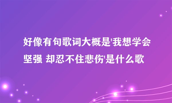 好像有句歌词大概是'我想学会坚强 却忍不住悲伤'是什么歌