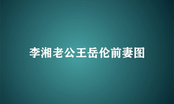 李湘老公王岳伦前妻图