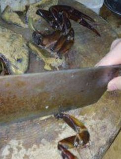 鲎应该怎样烹饪才好吃