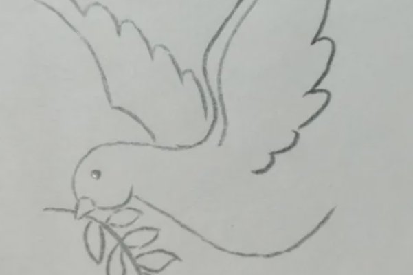 和平鸽怎么画简笔画