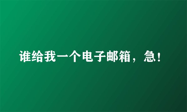 谁给我一个电子邮箱，急！