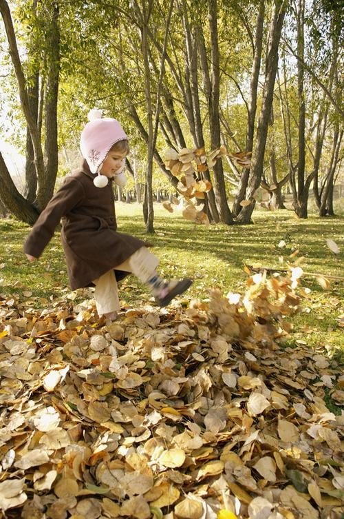 老师说“今天随便你怎么玩”是什么意思？