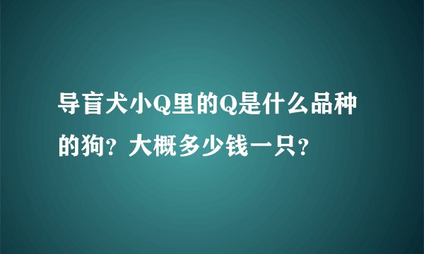 导盲犬小Q里的Q是什么品种的狗？大概多少钱一只？