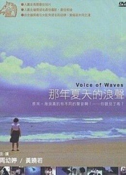 那年夏天的浪声的介绍