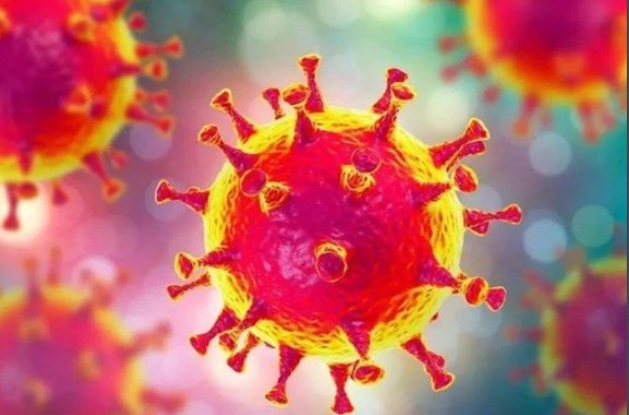 covid-19的发音是什么？