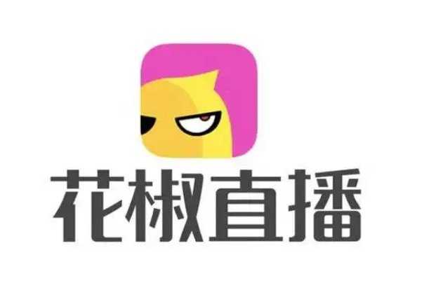 用花椒直播能赚到钱吗？