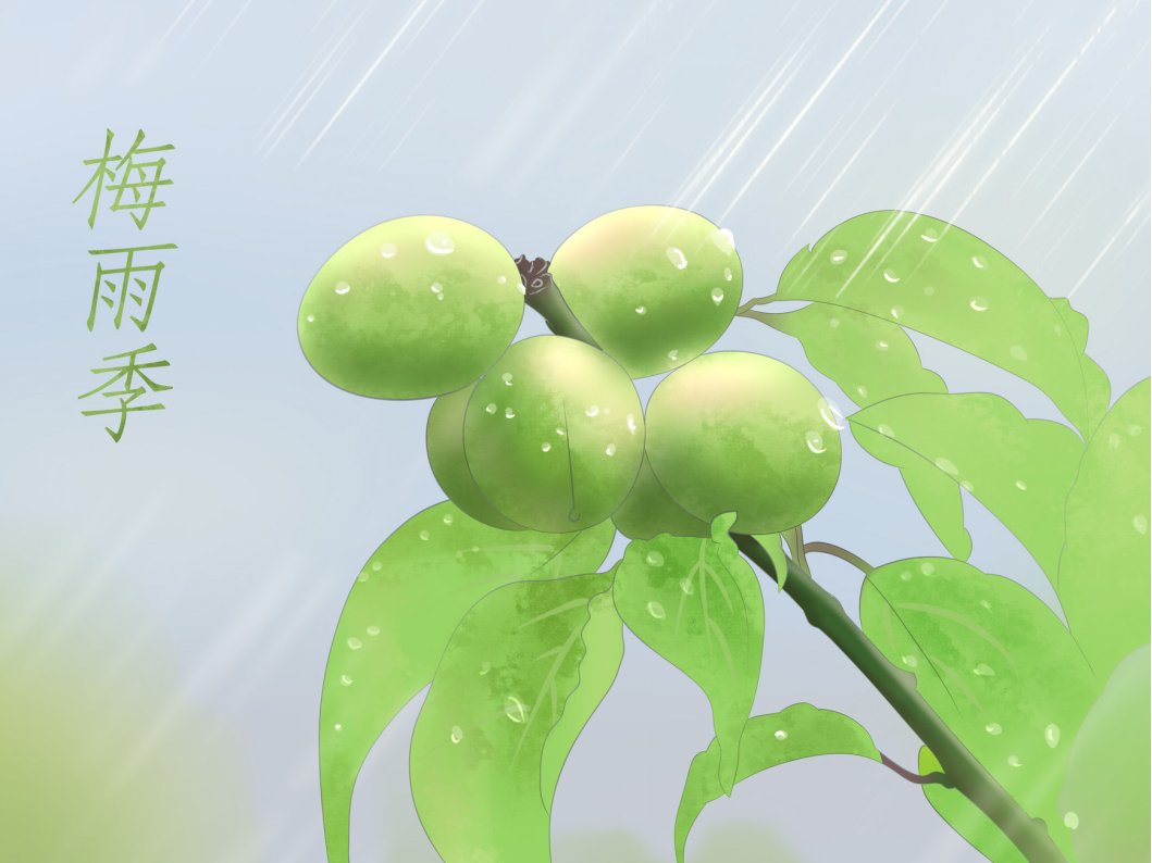 黄梅天是几月份到几月份