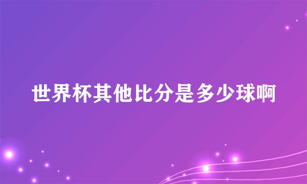 世界杯其他比分是多少球啊