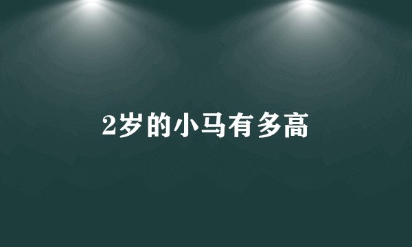 2岁的小马有多高
