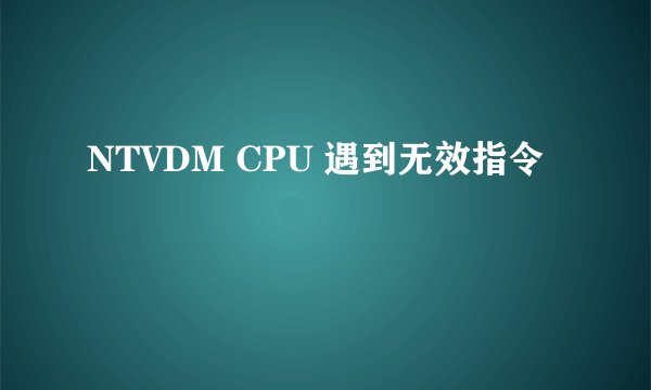 NTVDM CPU 遇到无效指令