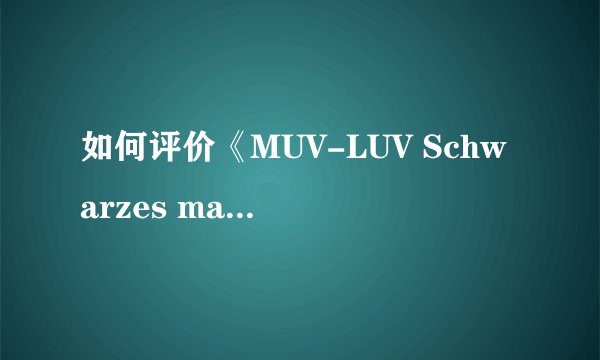 如何评价《MUV-LUV Schwarzes marken》