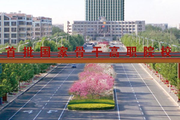 滨州职业学院2022春考录取线