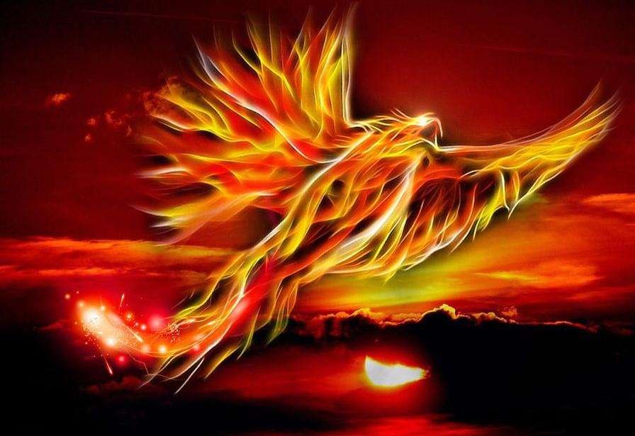 为什么说凤凰泣血就是凶兆？